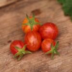 Artisan Pink Bumble Bee