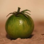 Emerald Green Cherry