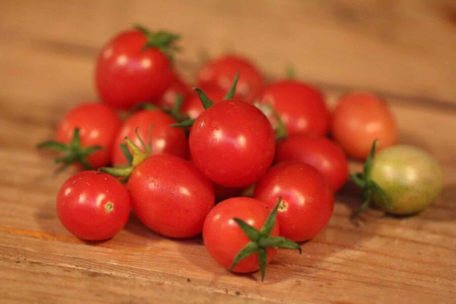 Malinowy Smaczek körsbärstomater i hallonrosa – söt polsk heirloom-sort | TummelstaChili