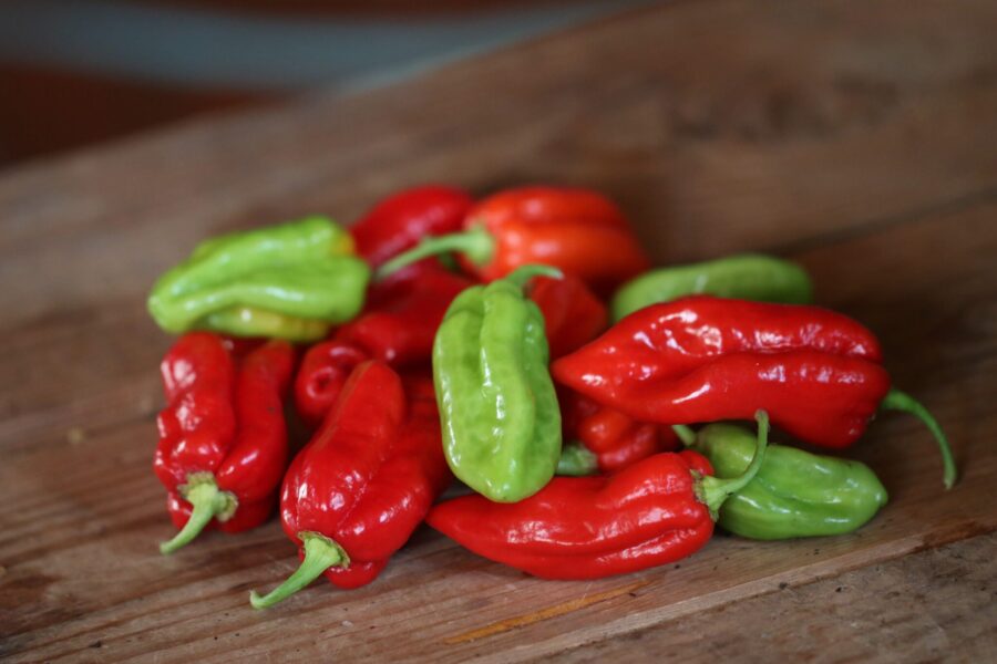 Carolina Lava superheta chilifrön – scorpion-liknande röda frukter | TummelstaChili