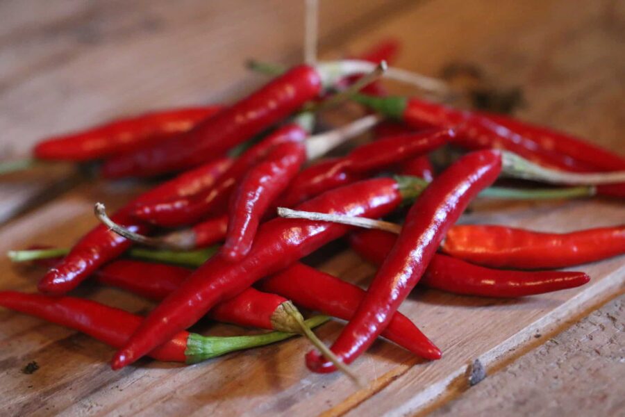 Thai Culinary chili – klassiska röda thailändska chilifrukter för wok | TummelstaChili