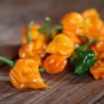 Odla 7 Pot Lava Yellow