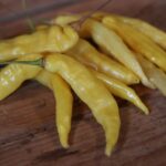 Odla Aji Pineapple Large