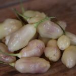 Odla White Pineapple