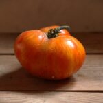 Plan 9 From Outer Space