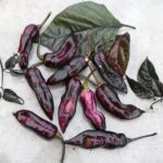 Odla Black Hole Horizon