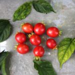 Klostertomate aus Vallerone