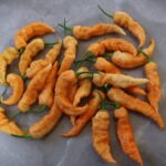 Odla Bhut Jolokia Peach