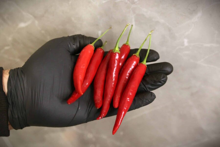 Heart Thromb chili – unik hjärtformad röd chili | Svenskodlade frön från TummelstaChili