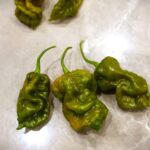 Odla MOAB Mustard Ghost