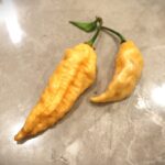 Odla California Reaper