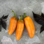 Odla Jalapeno Orange Spice