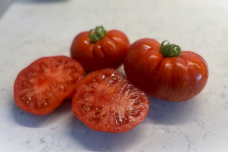 Cherokee Tiger Large Red tomat med dramatiska rödgula ränder | Köp hos TummelstaChili