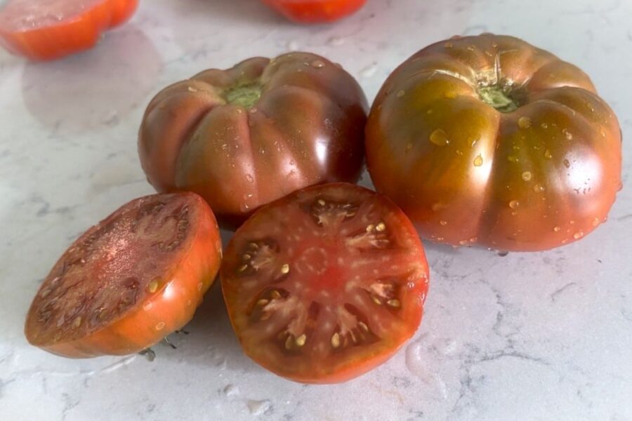 Purple Reign tomat med djup purpurfärg och köttigt fruktkött | TummelstaChili