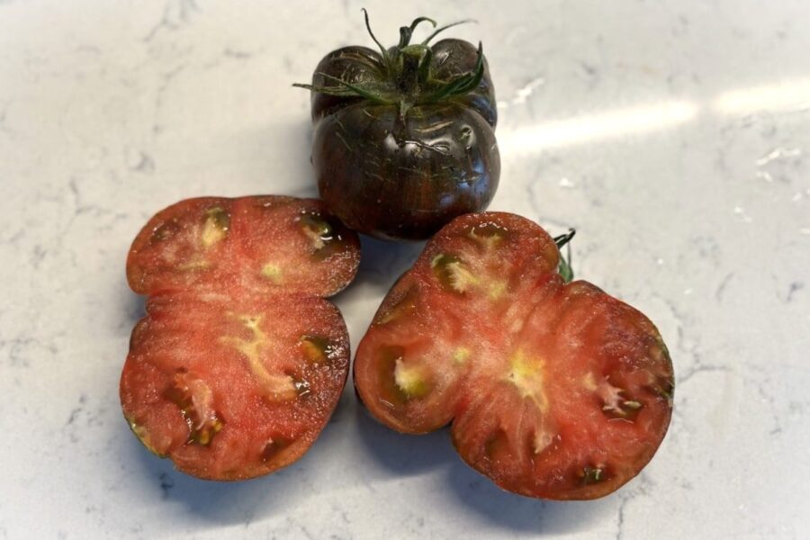 Blood Moon tomat med dramatisk mörkröd färg – kalifornisk gourmettomat från Wild Boar Farms | TummelstaChili