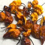 Odla Dueling Horizon