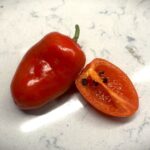 Odla Rocoto San Isidro