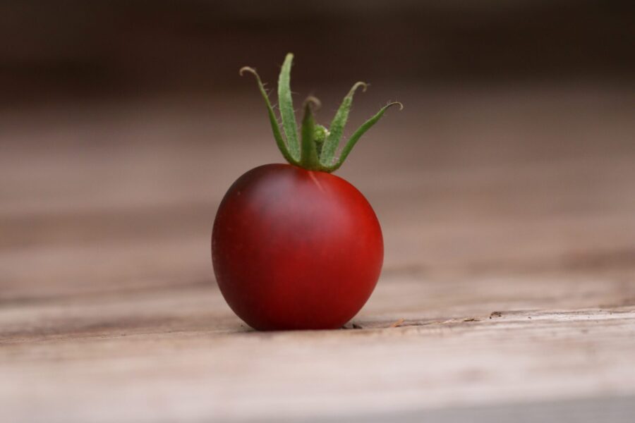 Indigo Ruby tomater med purpursvart färg och röda toner | Svenskodlade frön