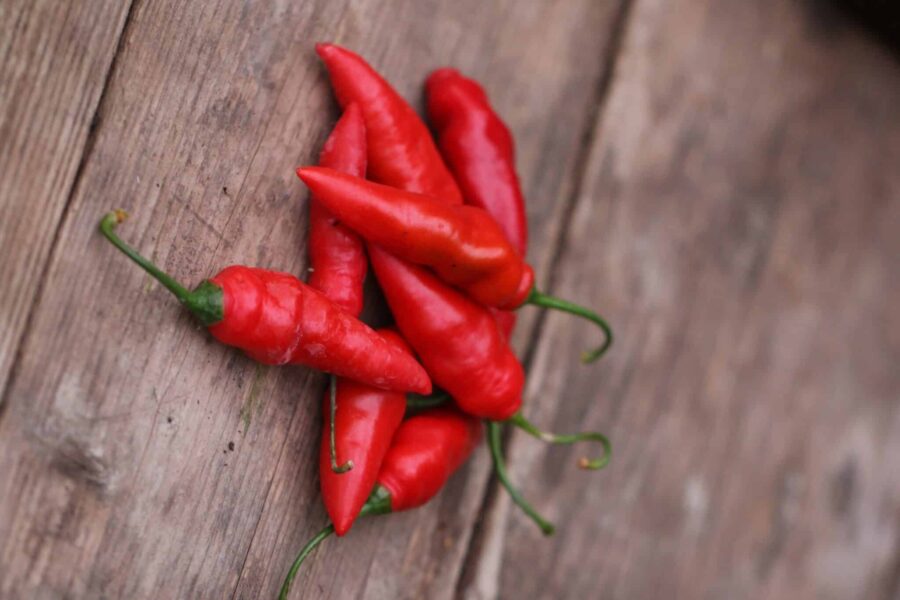 Rocoto Aji Largo