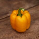Odla Bell Orange